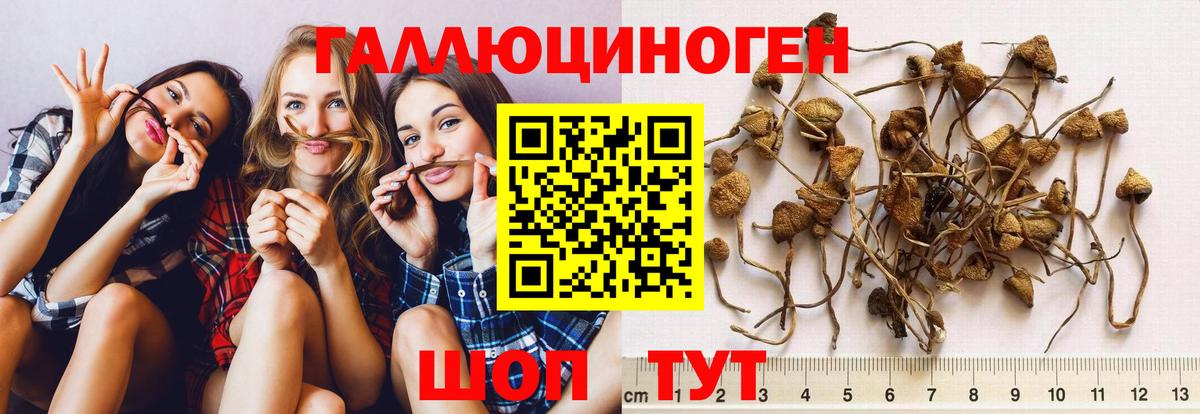 Нефтеюганск  Псилоцибиновые грибы Psilocybe  Вход с VPN  Псилоцибиновые грибы мухоморы 